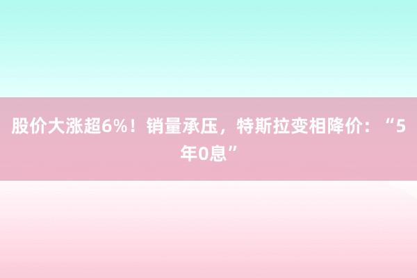 股价大涨超6%！销量承压，特斯拉变相降价：“5年0息”