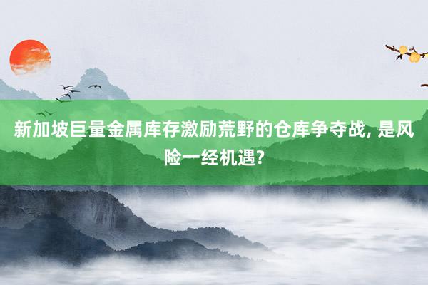 新加坡巨量金属库存激励荒野的仓库争夺战, 是风险一经机遇?