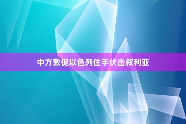 中方敦促以色列住手伏击叙利亚