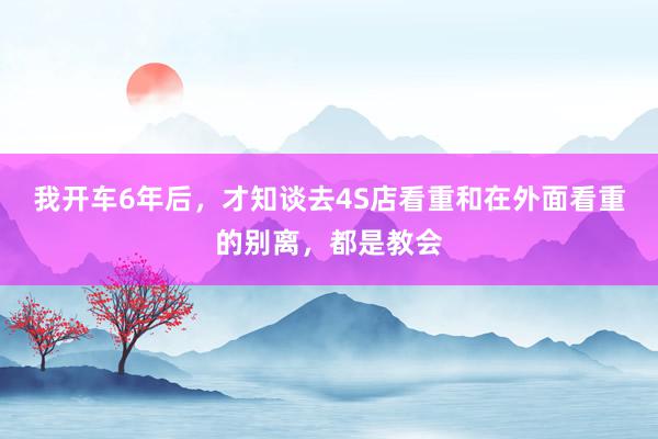 我开车6年后，才知谈去4S店看重和在外面看重的别离，都是教会