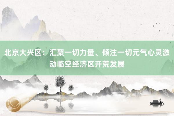 北京大兴区：汇聚一切力量、倾注一切元气心灵激动临空经济区开荒发展