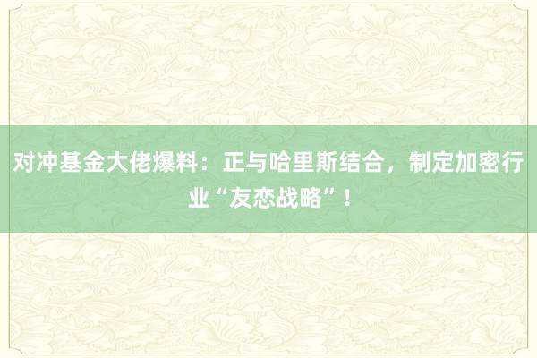 对冲基金大佬爆料：正与哈里斯结合，制定加密行业“友恋战略”！